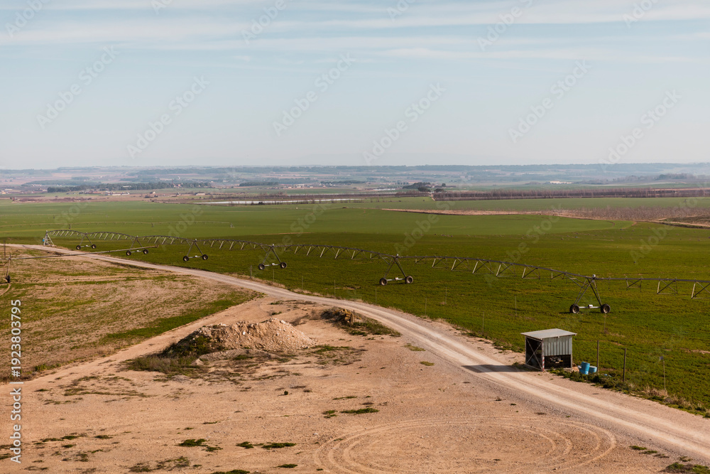 Fototapeta premium Wide agricultural landscape with center pivot irrigation system across green farmland. Modern water management infrastructure supporting crop production and rural economy.
