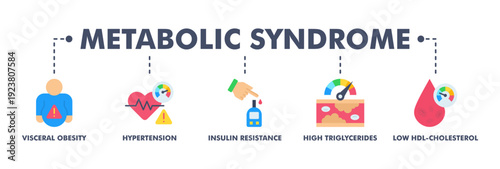 Symptoms of Metabolic Syndrome banner web flat vector illustration concept with an icon of Hypertension, Insulin Resistance, High Triglycerides, Low HDL-Cholesterol, Visceral Obesity
