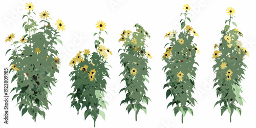 Illustration of multiple sunflower plants in varying stages of growth