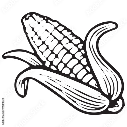 Vintage Corn Cob Harvest Hand Drawn Illustration