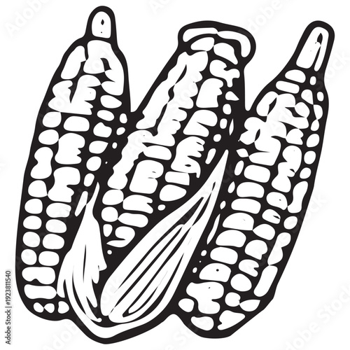 Hand Drawn Corn Cobs Bunch Farm Vector Illustration