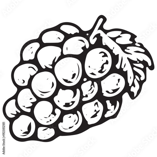 Vintage Bunch Grapes Hand Drawn Farm Illustration