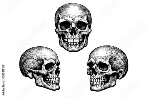 Tattoo flash skull motif A single skull tattoo flash motif shown in three views including frontal view, side profile view, and three-quarter view. Black and