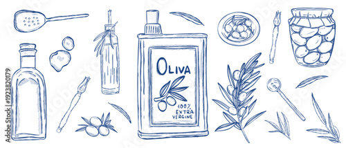 Olive oil and pickled olives vintage botanical engraving collection