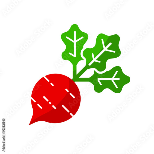 Beetroot, organic root vegetable vector icon