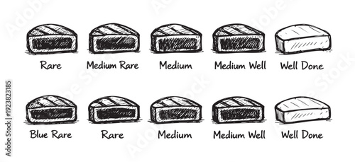 Hand-drawn vector illustration shows different steak doneness levels, from blue rare to well done, for restaurant menus, cooking guides, or culinary education.