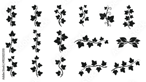 climbing ivy vine silhouette vector illustration