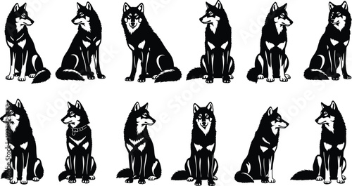 Wolf silhouette collection, wild canine sitting poses isolated black vector illustration animal wildlife icon set