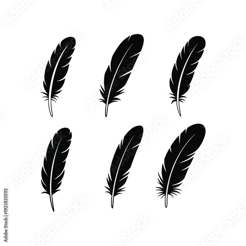 Black feather silhouettes on white background feathers black feathers isolated feathers