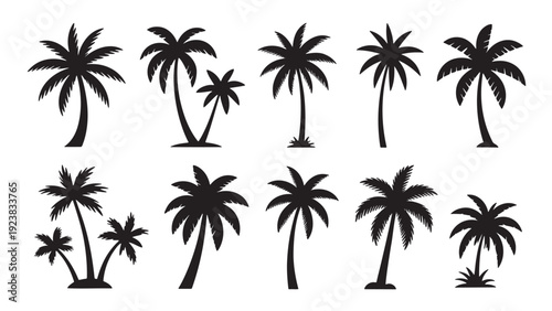 A collection of various palm tree silhouettes, perfect for conveying tropical, beach, or vacation themes.