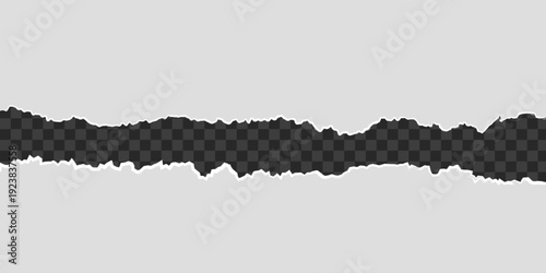 Torn Paper Effect: A textured strip of torn paper reveals a glimpse of what lies beneath, perfect for adding depth and intrigue to your designs.