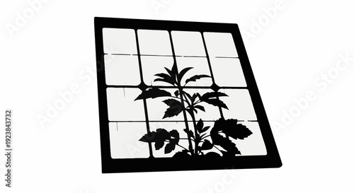 Silhouetted plant grows indoors behind a grid window, symbolizing growth and nature.