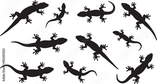 Set of gecko lizard silhouettes in various poses, black reptile vector collection isolated on white background