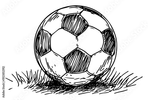 Close up of a classic soccer ball resting on green grass hand drawn sketch