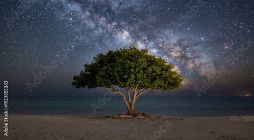 A lone tree on a sandy beach under a starry night sky with the Milky Way visible.