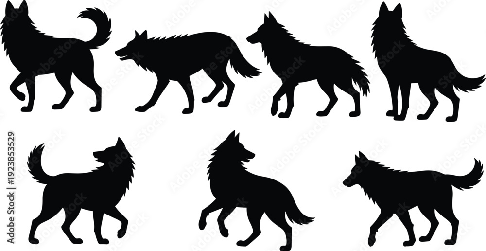 Obraz premium Wolf silhouettes collection in different poses, wild animal black shapes set isolated on white background, forest predator illustration for design and decoration