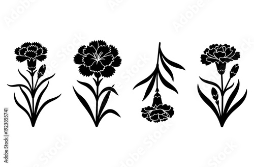 Set of black silhouette carnation flower blossoms with stems