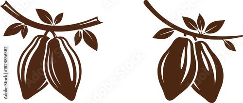 Cocoa pods on branch vector illustration on transparent background design element for chocolate industry and food packaging