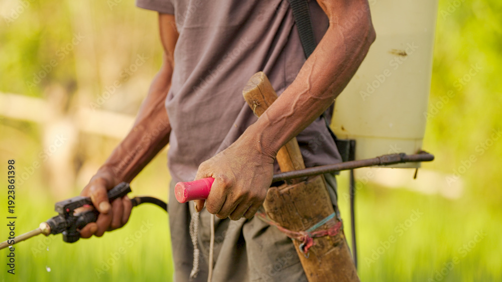 Obraz premium close-up of farmer spraying pesticides on field with hand sprayer, indonesia, southeast asia