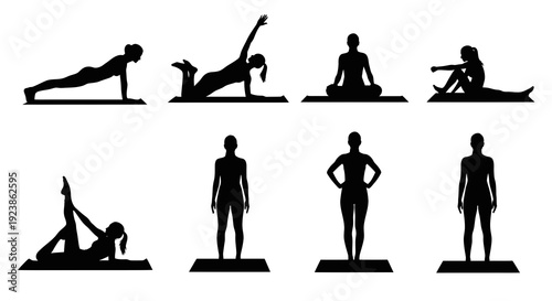 Diverse Silhouettes of Women Practicing Yoga and Fitness Poses on White Background, Vector Art