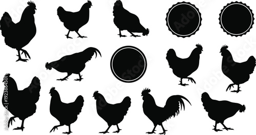 Chicken and Rooster Silhouette Collection with Hen Poultry Farm Bird Logo Badge Black Flat Vector Illustration Set Police Stop