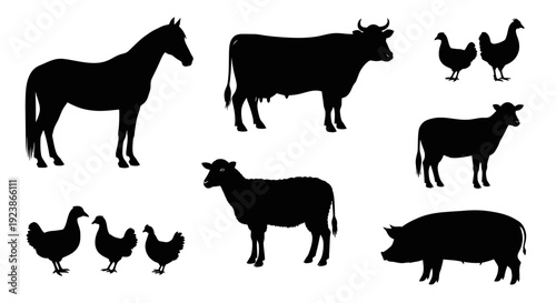 Farm Animal Silhouettes: Horse, Cow, Sheep, Pig, Chickens on White Background