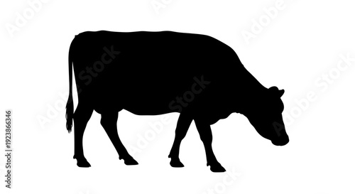 Black Silhouette of a Cow Grazing on White Background, Farm Animal
