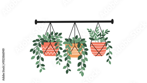 Beautiful hanging indoor plants in decorative ceramic pots suspended from a wall mounted bar on a white background.