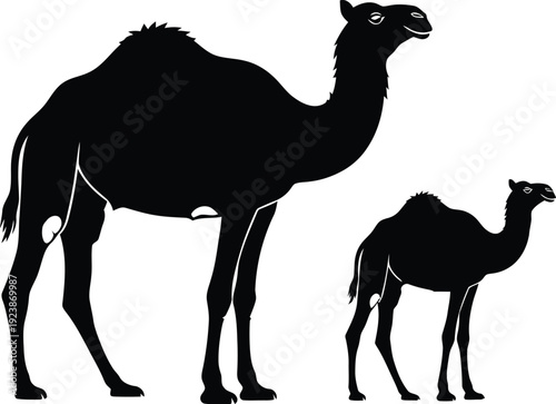 Camel Family Silhouette Desert Wildlife Illustration