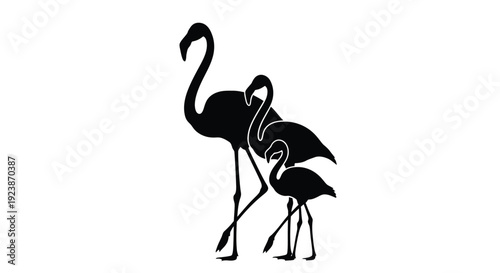 Flamingo Family Silhouette Bird Illustration