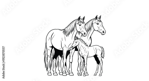 Horse and Foal Silhouette Farm Animal Illustration