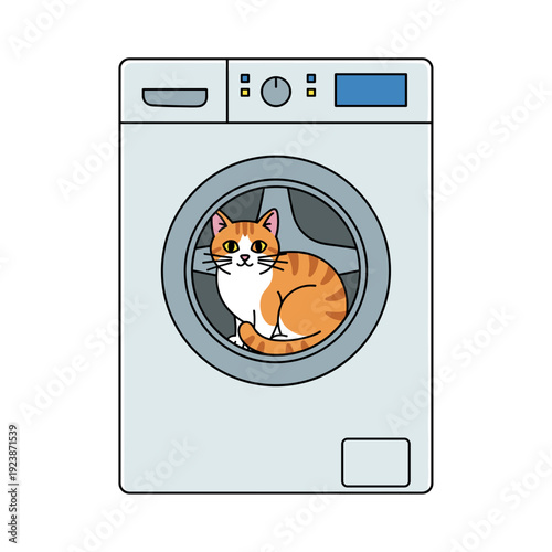 Ginger tabby cat sitting inside washing machine drum isolated on white background. Concept of curious pet behavior and domestic humor