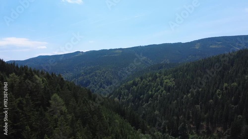 Wald bei Stausee Soboth