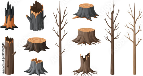 Dead Tree Trunk and Cut Stump Collection with Dry Leafless Branches Forest Cartoon Flat Vector Illustration Set Isolated Police Stop