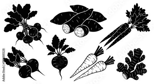Food  Agriculture Root Vegetables Icon Set. Black and White Glyphs featuring Carrots, Radishes, Sweet Potatoes, Beets, and Ginger for Healthy Eating.