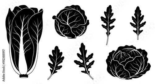 Food Industry Black  White Line Art Glyph Icons of Leafy Green Vegetables: Romaine Lettuce, Cabbage, Arugula for Healthy Eating