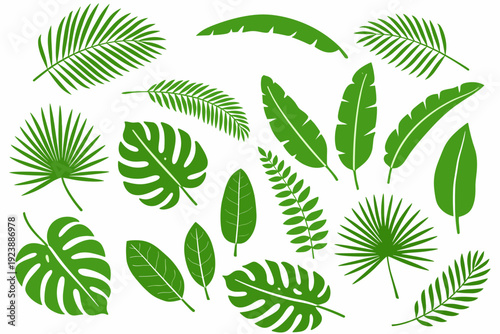 Green tropical foliage bundle with palm fronds, banana leaves, ferns and monstera shapes. Flat vector botanical elements isolated on white for patterns, wallpapers, poster and summer design.