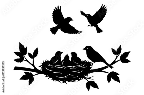 Silhouette of birds nesting on a tree branch with chicks in the nest