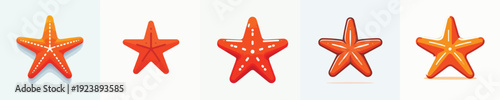 vector of starfish