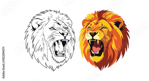 Detailed vector illustration showcasing a comparison between a fierce roaring lion head outline drawing and a vibrant full color graphic design portrait.
