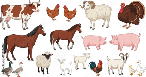 Farm animals vector illustration set isolated on white background, livestock collection including cow, horse, sheep, goat, pig, poultry for agriculture and farming design