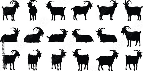 Set of black goat silhouettes in different poses and positions isolated on white background, farm animal vector icons for logo, agriculture, and livestock design.