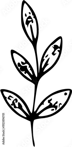 Coffee Vector Collection