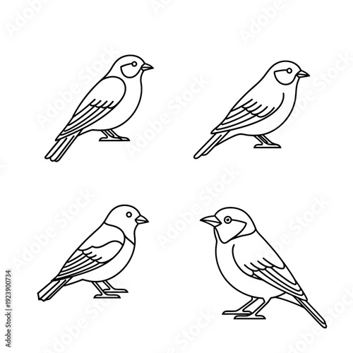 Wallpaper Mural Set of Four Outline Birds Illustration Torontodigital.ca