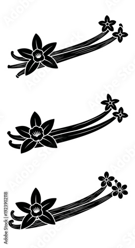Vanilla Pods and Flowers Vector Illustration - Black and White Decorative Elements