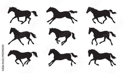 Running horse silhouette set with galloping stallions in various motion poses for equestrian design needs