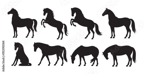 Set of eight black horse silhouettes showcasing different elegant poses including standing, rearing, and walking