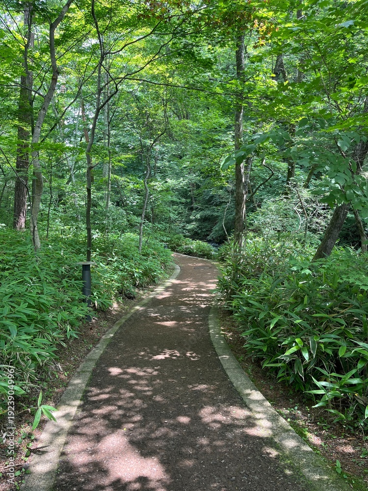 Obraz premium scenery in Karuizawa, Nagano, Japan