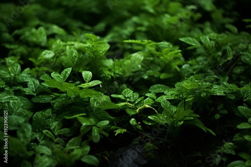 Green leaves creating a vibrant growth and natural background