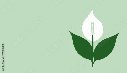 Flat design illustration of a green leafy plant with white flower from a front viewpoint